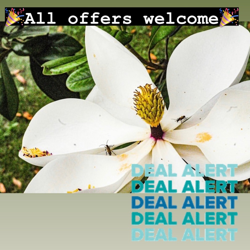 🎉All offers welcome🎉